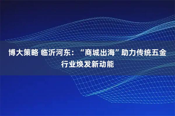 博大策略 临沂河东：“商城出海”助力传统五金行业焕发新动能