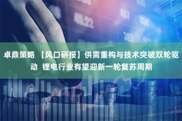 卓鼎策略 【风口研报】供需重构与技术突破双轮驱动  锂电行业有望迎新一轮复苏周期