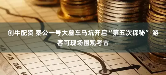 创牛配资 秦公一号大墓车马坑开启“第五次探秘” 游客可现场围观考古